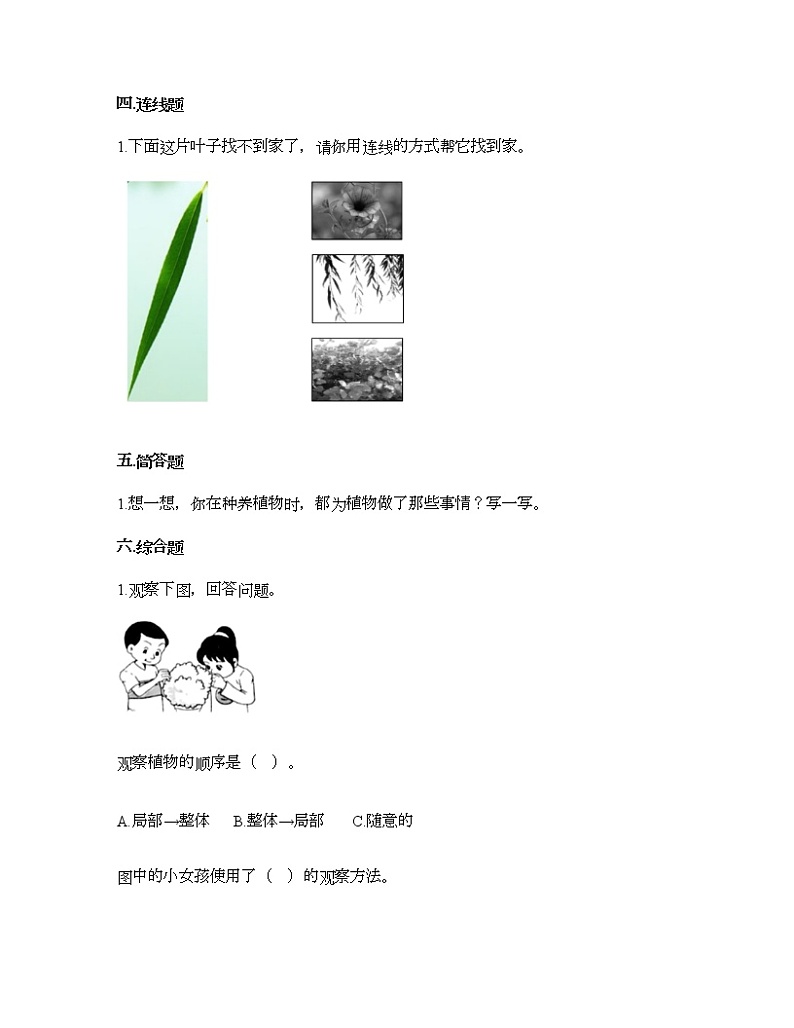 教科版一年级上册科学第一单元 植物 测试卷（含答案） (15)第3页