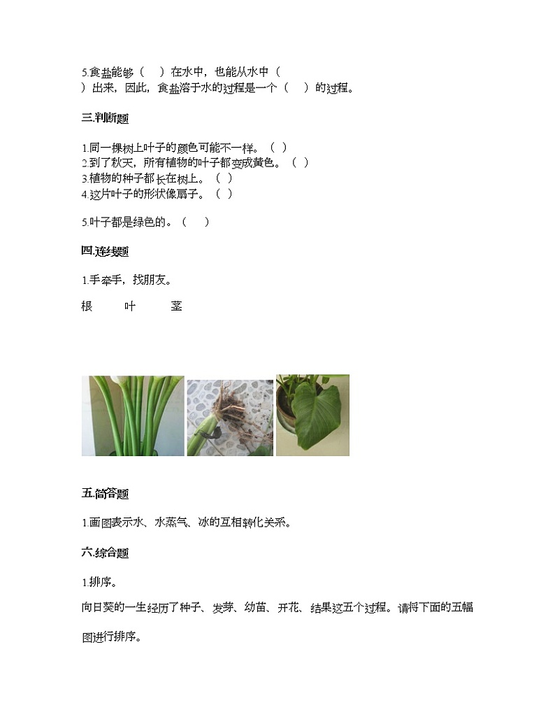 教科版一年级上册科学第一单元 植物 测试卷（含答案） (13)第2页
