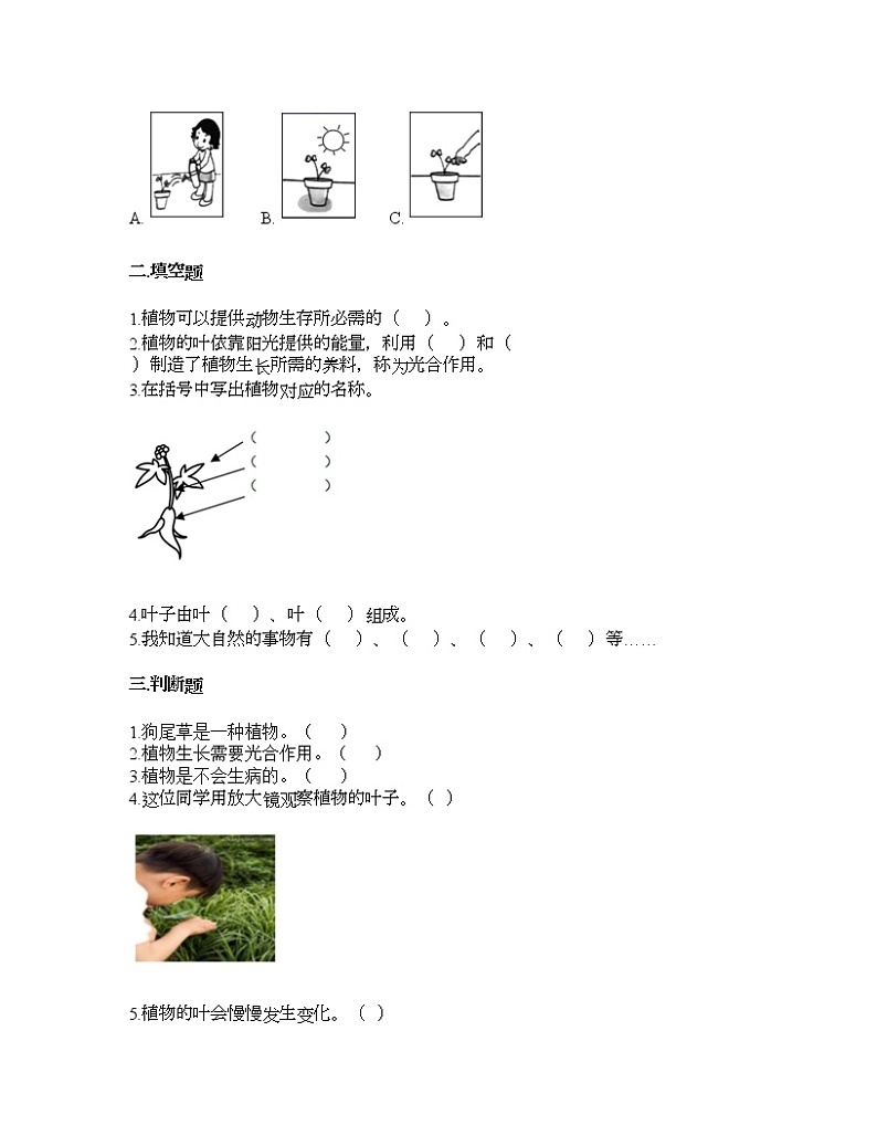 教科版一年级上册科学第一单元 植物 测试卷（含答案） (11)02