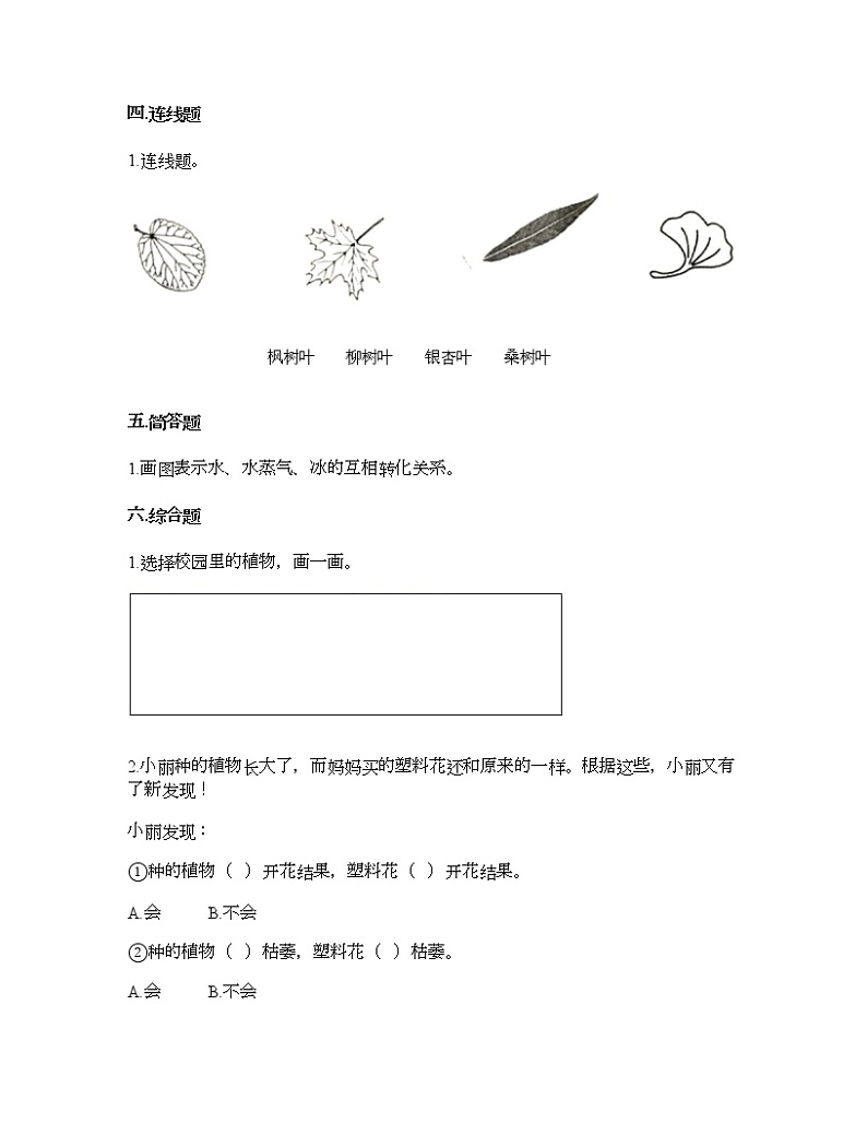 教科版一年级上册科学第一单元 植物 测试卷（含答案） (11)03