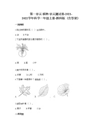 小学科学教科版 (2017)一年级上册植物综合与测试一课一练
