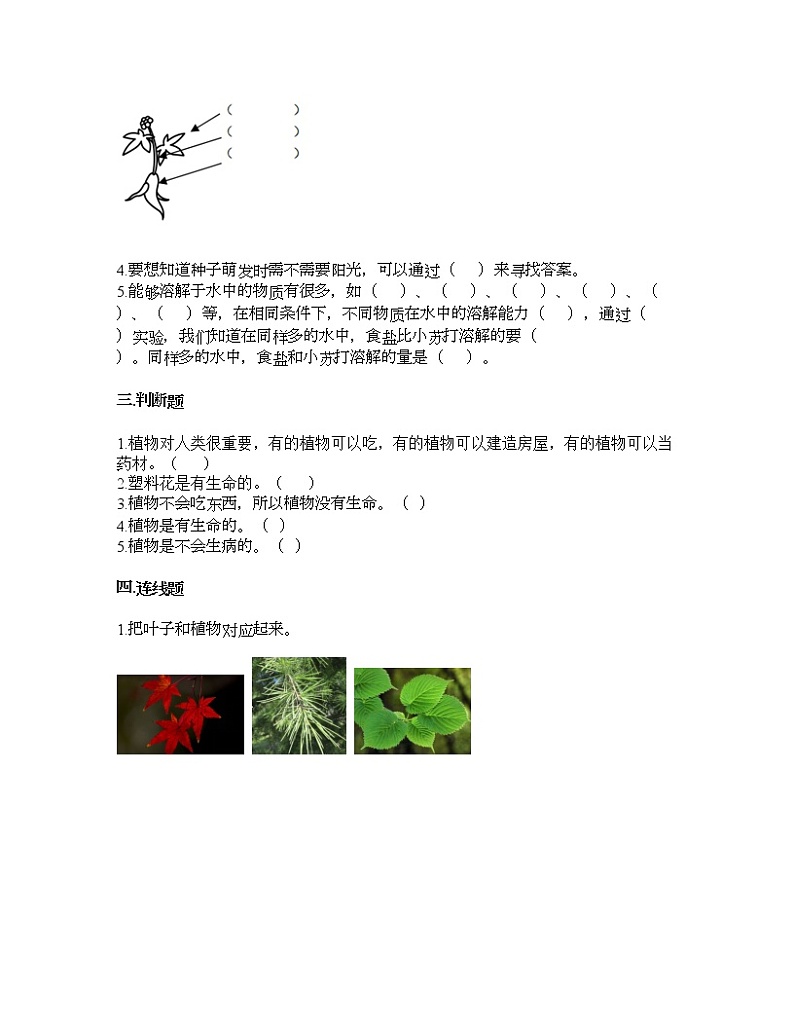 教科版一年级上册科学第一单元 植物 测试卷（含答案） (20)第2页