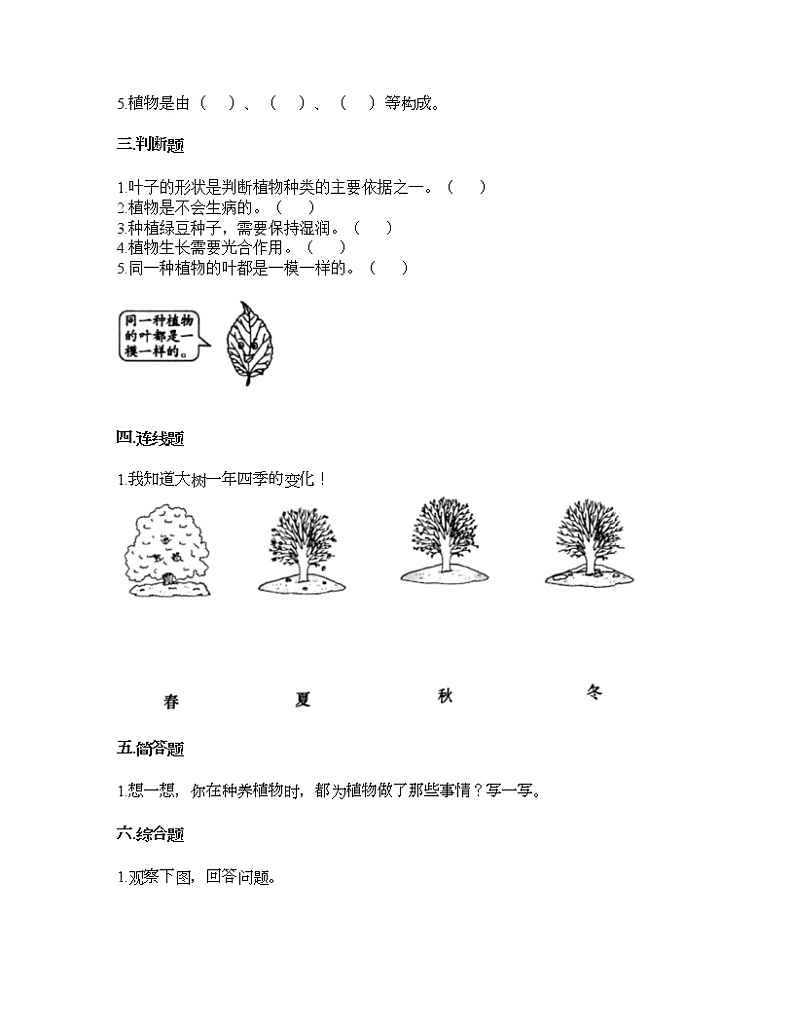 教科版一年级上册科学第一单元 植物 测试卷（含答案） (12)第2页