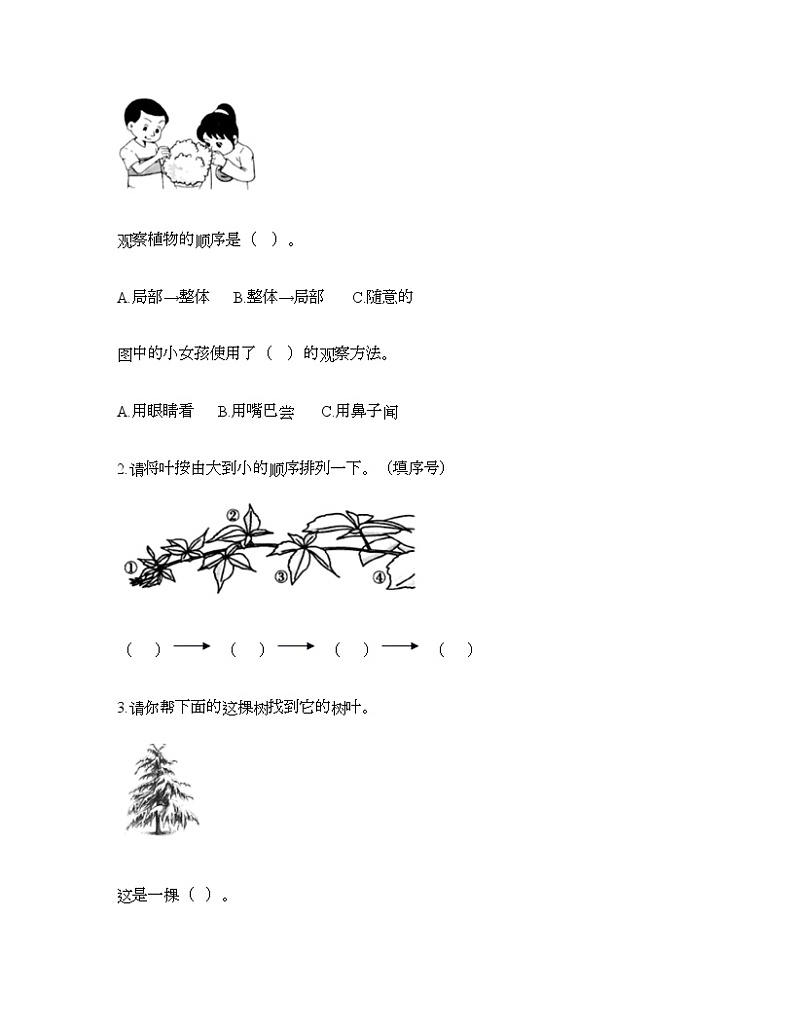 教科版一年级上册科学第一单元 植物 测试卷（含答案） (12)第3页