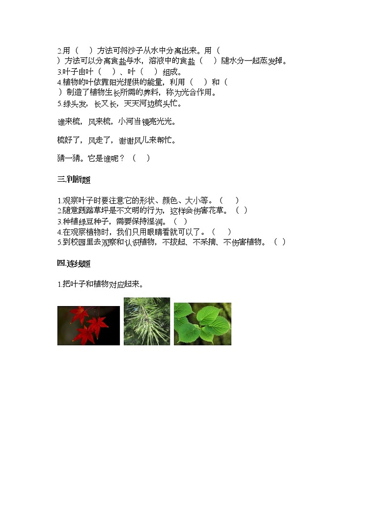 教科版一年级上册科学第一单元 植物 测试卷（含答案） (2)第2页