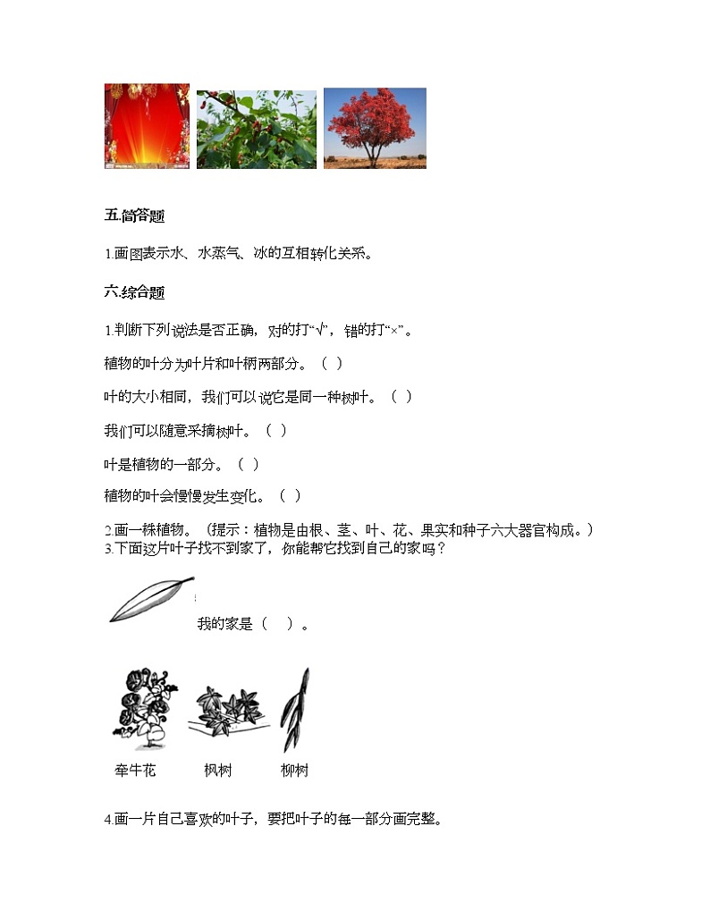 教科版一年级上册科学第一单元 植物 测试卷（含答案） (2)第3页