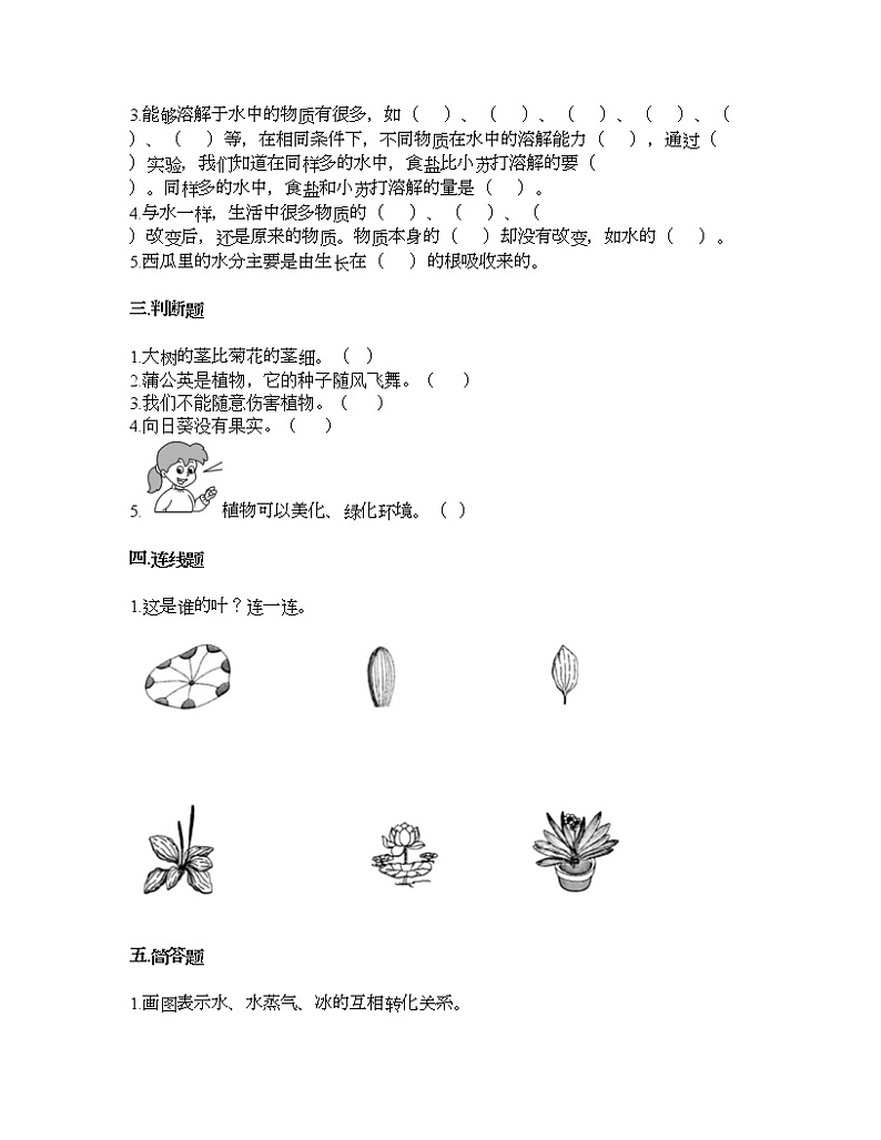 教科版一年级上册科学第一单元 植物 测试卷（含答案） (1)第2页
