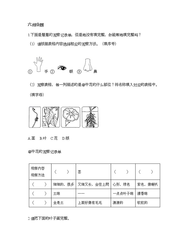 教科版一年级上册科学第一单元 植物 测试卷（含答案） (1)第3页