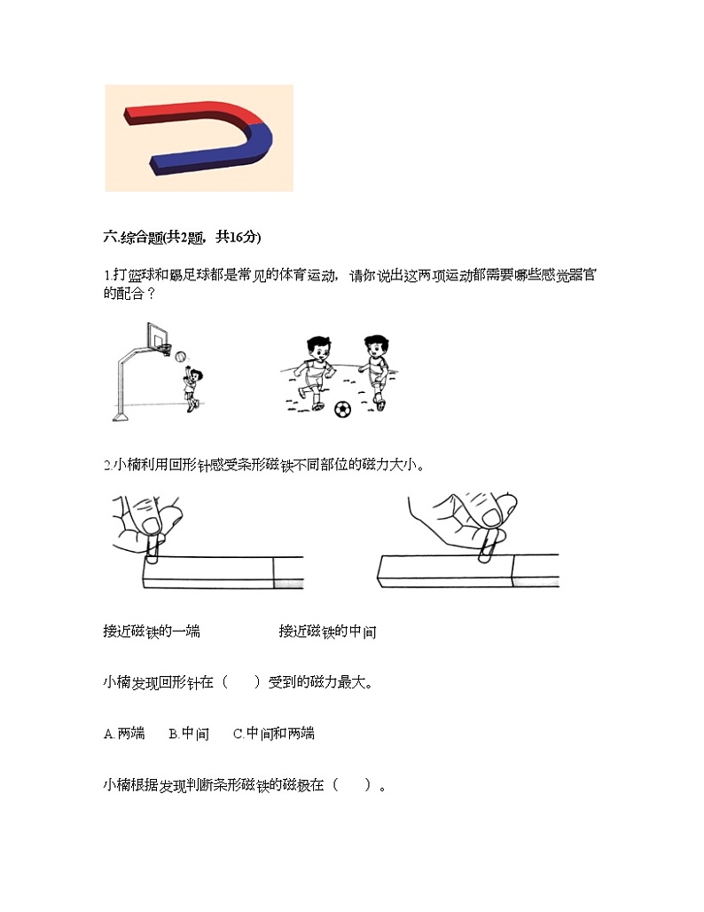 教科版二年级下册科学期末测试卷及答案10第3页