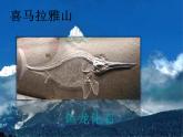 苏教版六年级科学上册 2.5  地表的变迁 课件