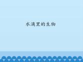 苏教版六年级科学上册 1.1 水滴里的生物_ 课件