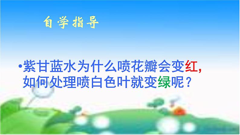 苏教版六年级科学上册 3.3 变色花 课件第5页