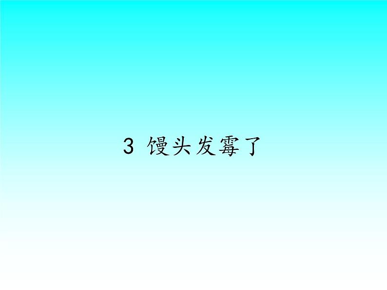 苏教版六年级科学上册 1.3 馒头发霉了(2) 课件第1页