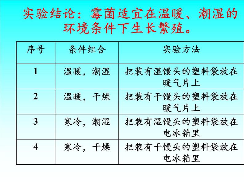 苏教版六年级科学上册 1.3 馒头发霉了(2) 课件第8页