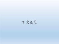 小学科学苏教版六年级上册3.变色花图文课件ppt