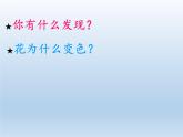 苏教版六年级科学上册 3.3  变色花(3) 课件