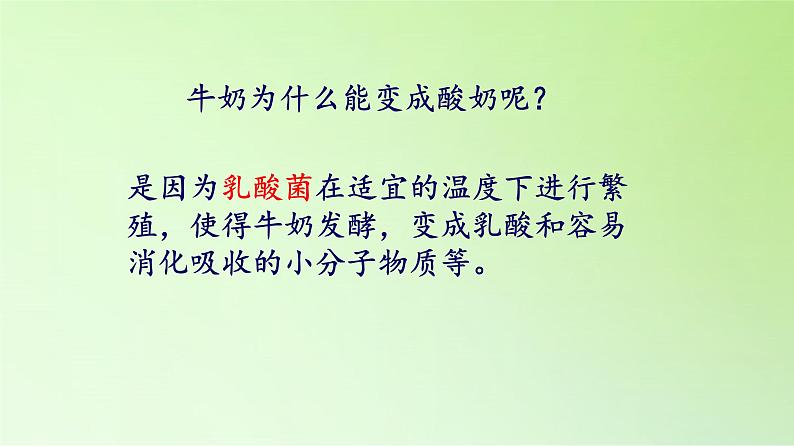 苏教版六年级科学上册 1.2 做酸奶 课件第3页