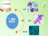 苏教版六年级科学上册 1.2 做酸奶 课件