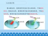 苏教版六年级科学上册 3.3 变色花_ 课件