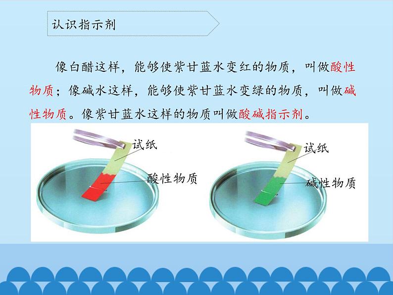 苏教版六年级科学上册 3.3 变色花_ 课件第4页