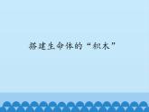 苏教版六年级科学上册 1.4 搭建生命体的“积木”_ 课件