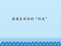 小学科学苏教版六年级上册4.搭建生命体的“积木”多媒体教学课件ppt