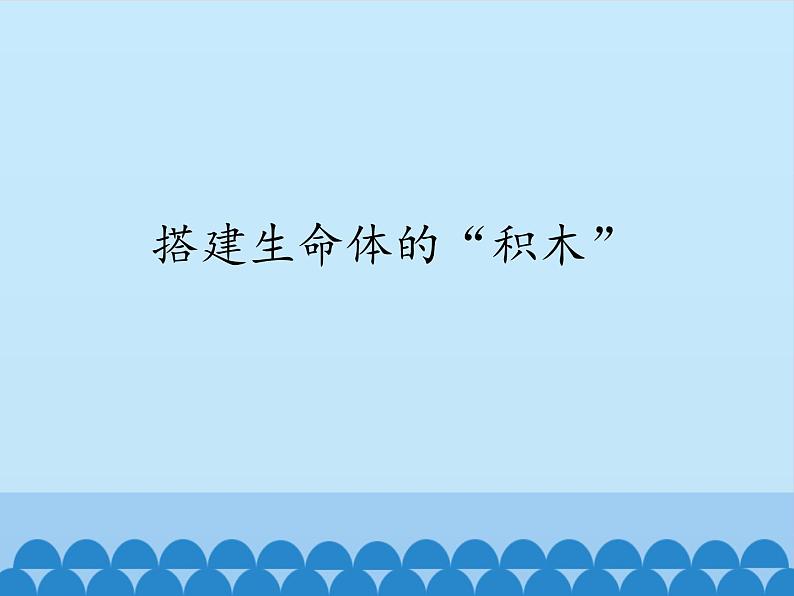 苏教版六年级科学上册 1.4 搭建生命体的“积木”_ 课件第1页