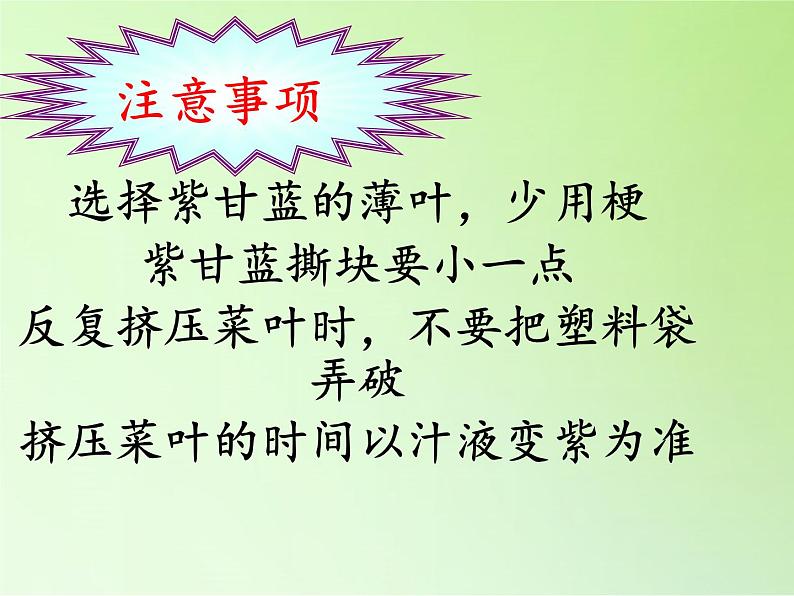 苏教版六年级科学上册 3.3  变色花(6) 课件第3页