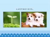 苏教版六年级科学上册 3.1 蜡烛的变化_ 课件