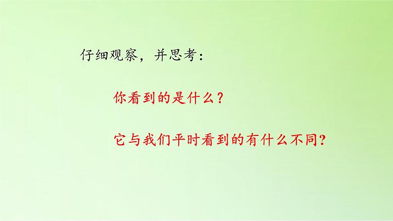 苏教版六年级科学上册 1.3  馒头发霉了(3) 课件02