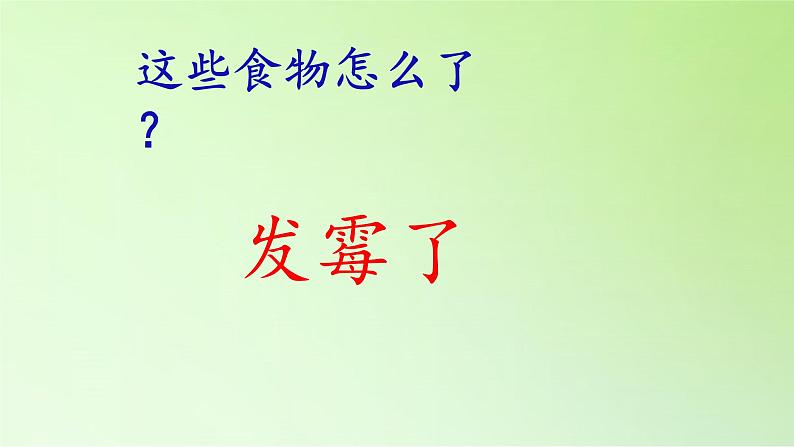 苏教版六年级科学上册 1.3  馒头发霉了(3) 课件04