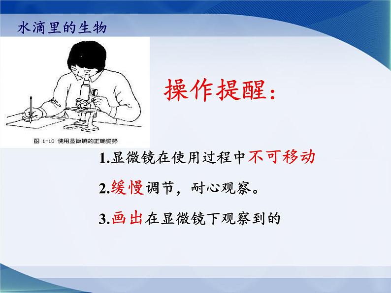 苏教版六年级科学上册 1.1 水滴里的生物(2) 课件04