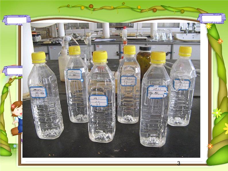 苏教版六年级科学上册 1.1 水滴里的生物(1) 课件03