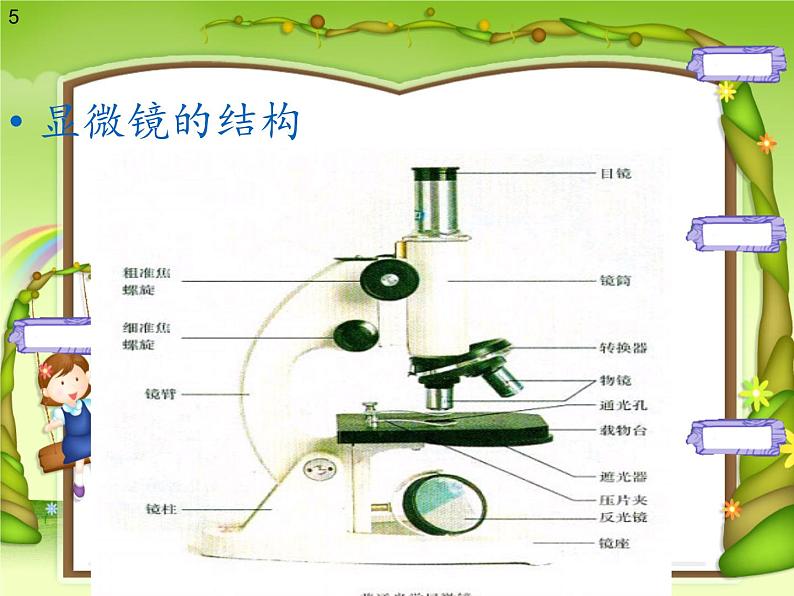 苏教版六年级科学上册 1.1 水滴里的生物(1) 课件05