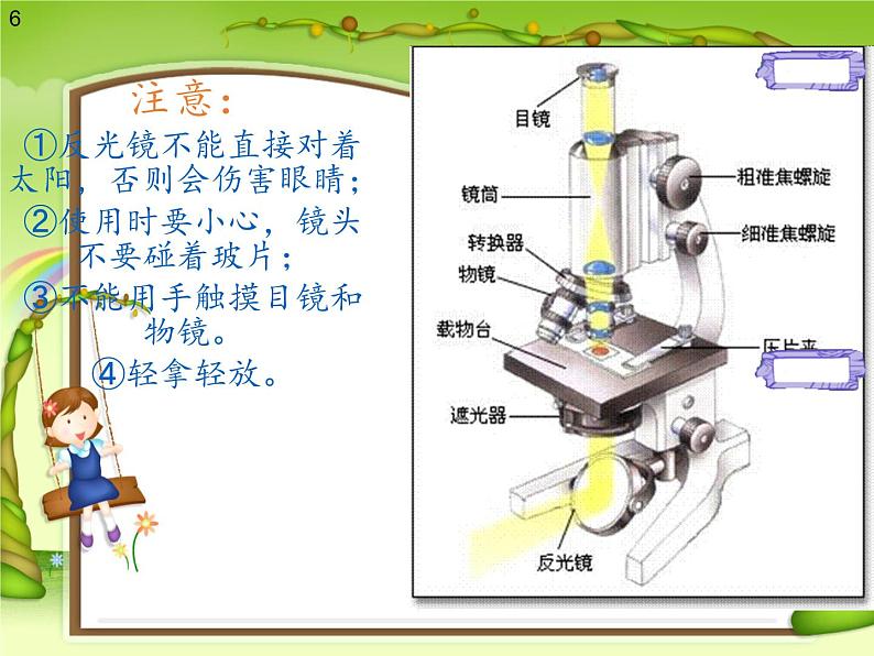 苏教版六年级科学上册 1.1 水滴里的生物(1) 课件06