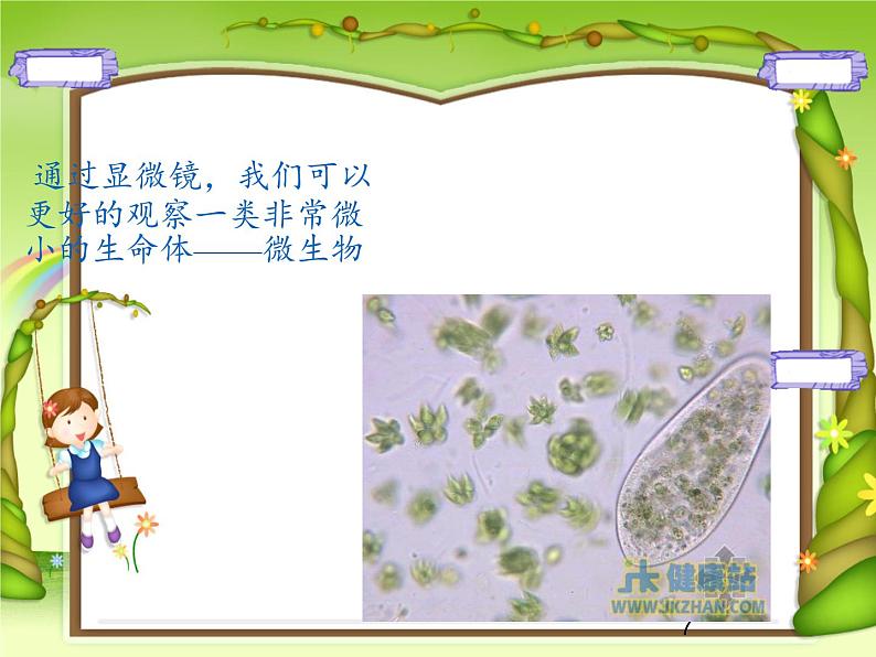 苏教版六年级科学上册 1.1 水滴里的生物(1) 课件07