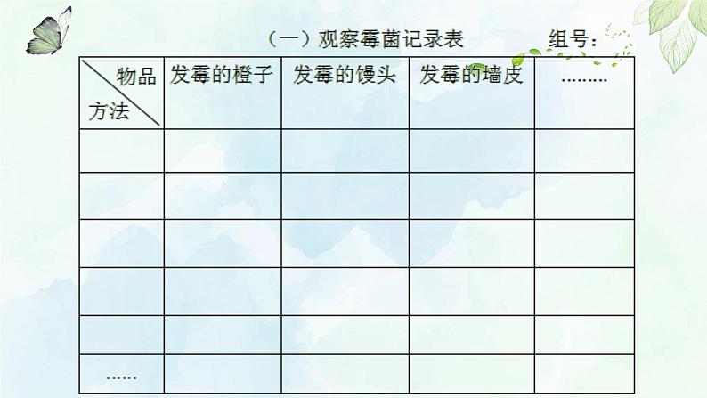 苏教版六年级科学上册 1.3 馒头发霉了（第1课时） 课件第5页