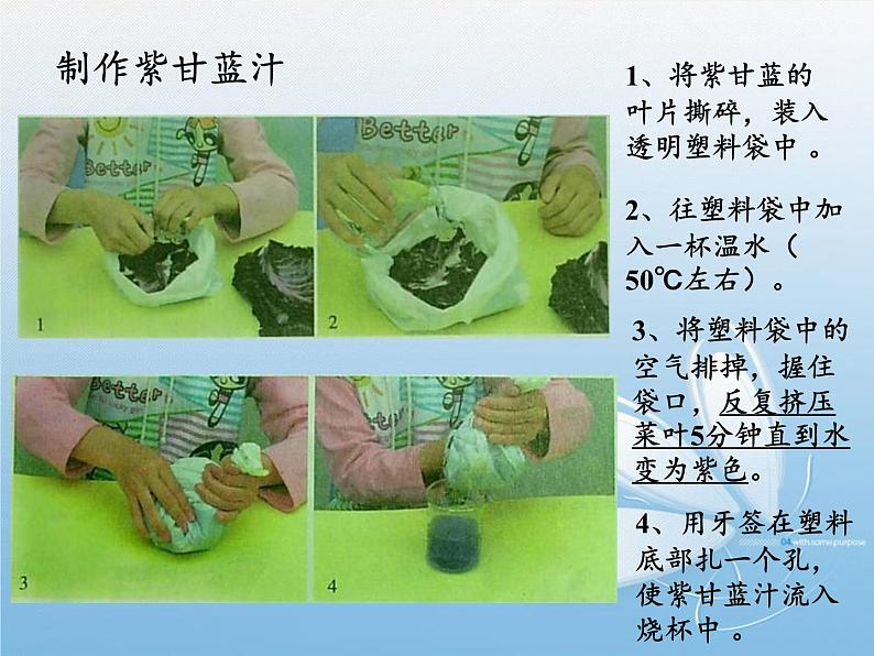 苏教版六年级科学上册 3.3 变色花(7) 课件第2页