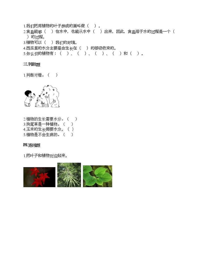 教科版一年级上册科学第一单元 植物 测试卷（含答案） (7)第2页
