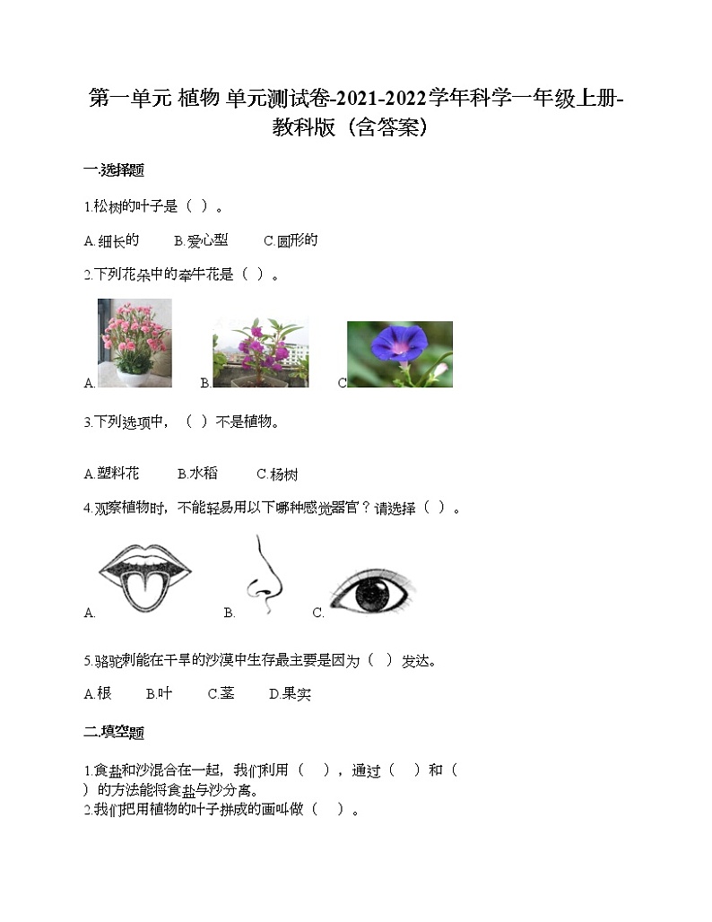 教科版一年级上册科学第一单元 植物 测试卷（含答案） (16)第1页