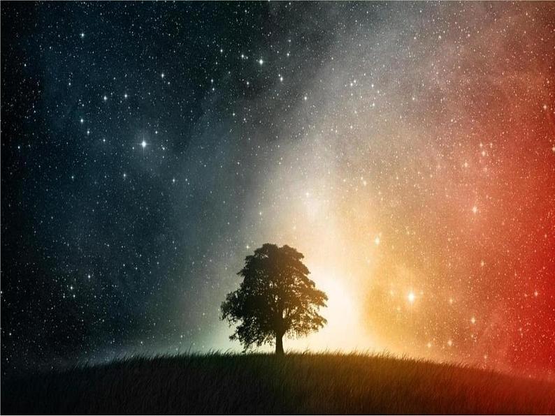 苏教版六年级科学上册 4.3 看星座(4) 课件08