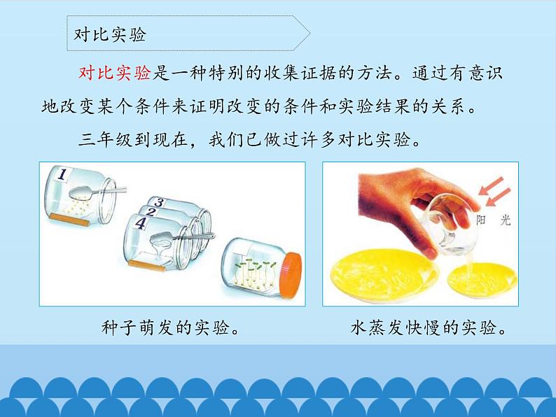 苏教版六年级科学上册 5.2 实验_ 课件第6页