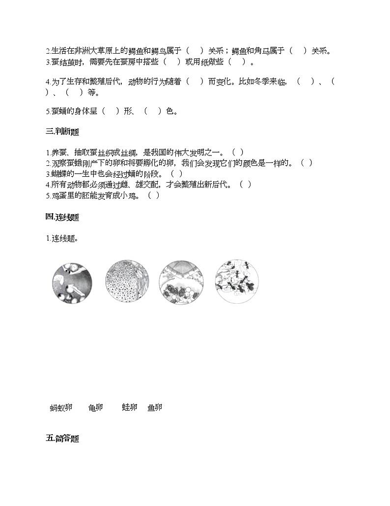 教科版三年级下册科学第二单元 动物的一生 测试卷（含答案） (4)02