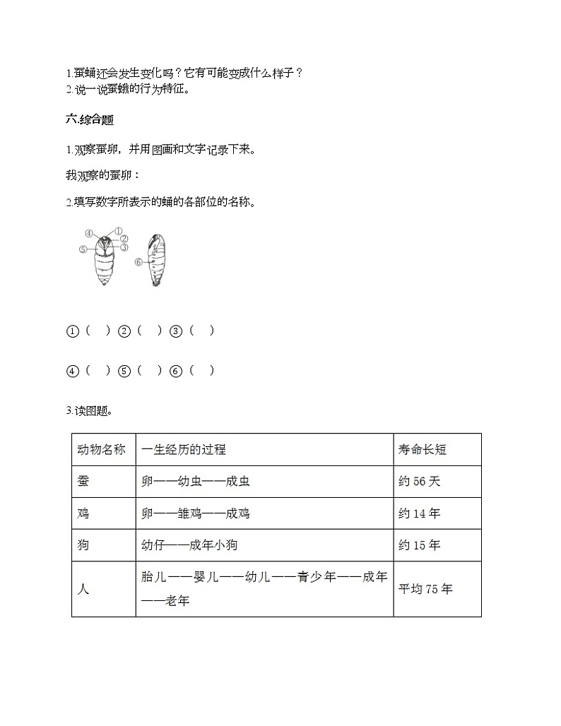 教科版三年级下册科学第二单元 动物的一生 测试卷（含答案） (4)03