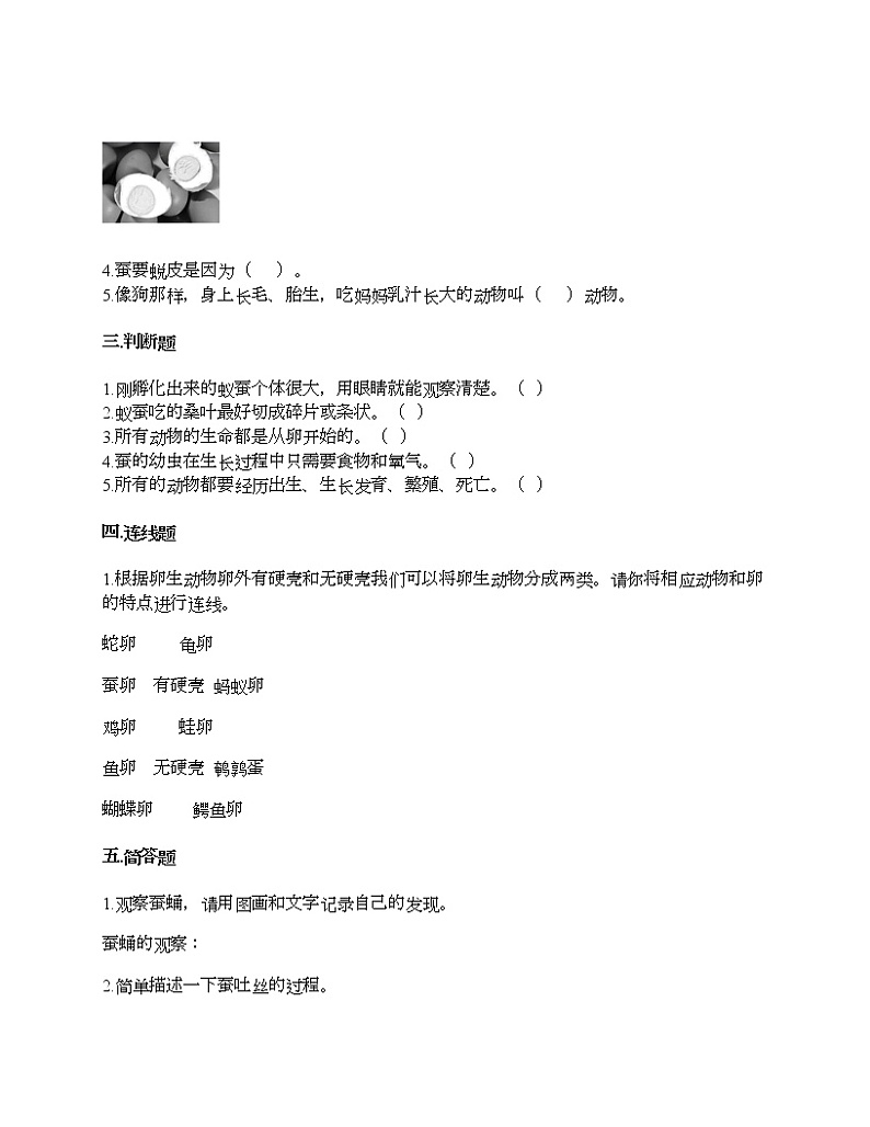 教科版三年级下册科学第二单元 动物的一生 测试卷（含答案） (2)第2页