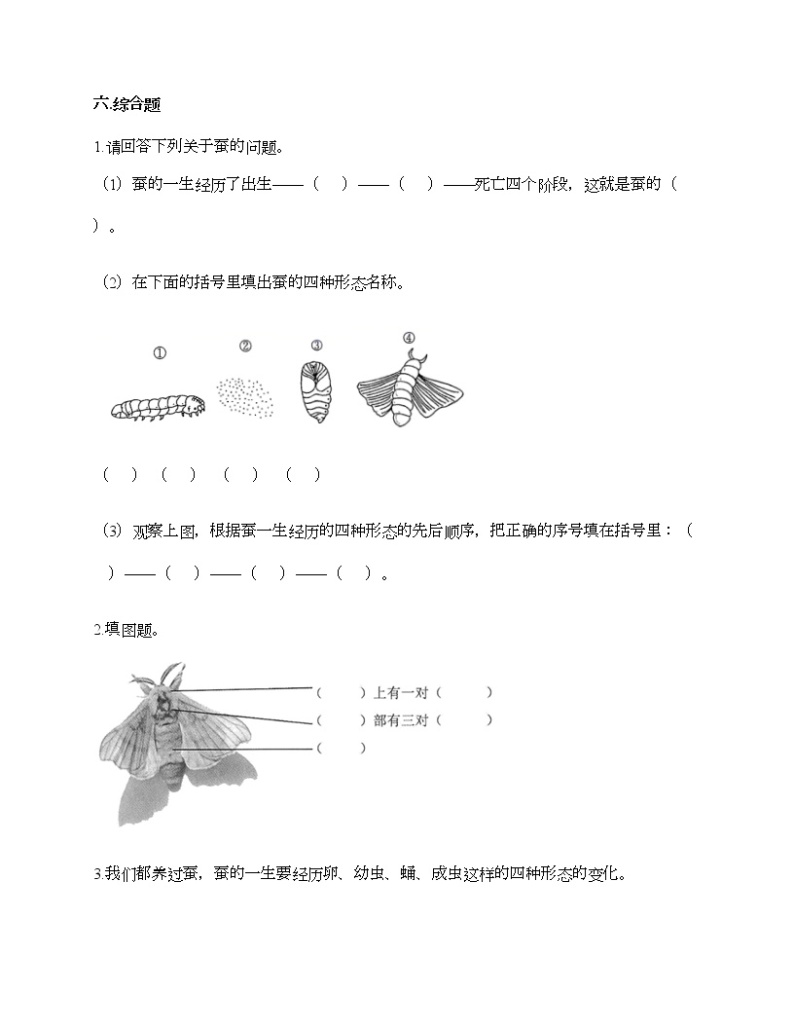 教科版三年级下册科学第二单元 动物的一生 测试卷（含答案） (2)03