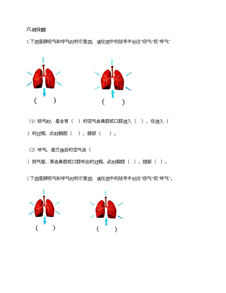 第二单元 呼吸和消化 单元测试卷-2021-2022学年科学四年级上册-教科版（含答案） (71)第3页