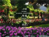 苏教版六年级科学下册 1.1 我在成长(2)课件