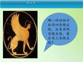 苏教版六年级科学下册 1.3 人生之旅(1)课件
