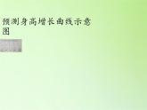 苏教版六年级科学下册 1.1 我在成长(4)课件